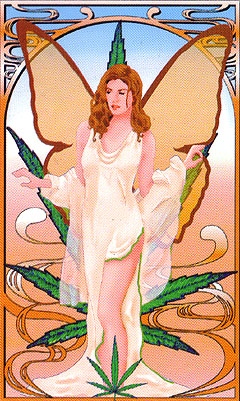 fairy-hemp