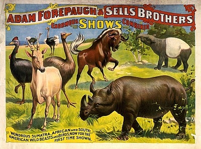Vintage_Circus_Posters_Adam_Forepaugh__Sells_Brothers_enormous_shows_combined_2