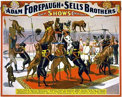 Vintage_Circus_Posters_Adam_Forepaugh_and_Sells_Brothers_great_shows_consolidated