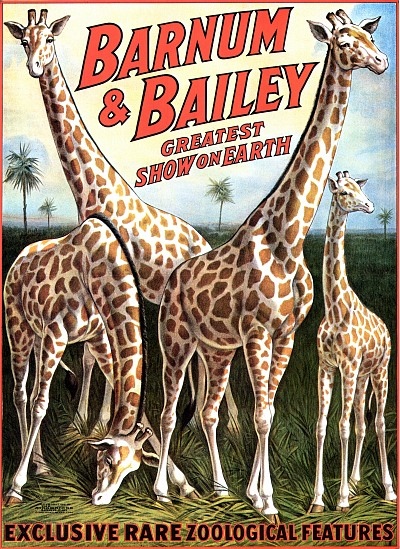 Vintage_Circus_Posters_Barnum__Bailey_Giraffes
