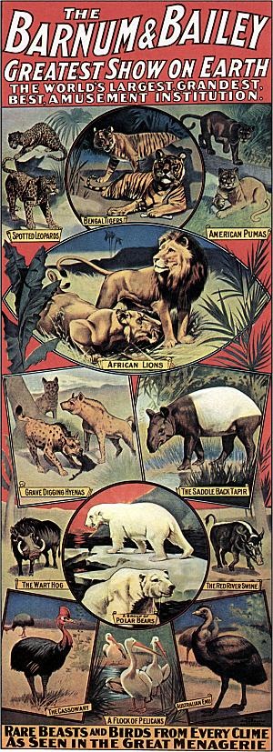 Vintage_Circus_Posters_Barnum__Bailey_Menagerie_Lions_Tigers