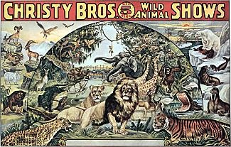 Vintage_Circus_Posters_Christy_Bros._Big_5_Ring_Wild_Animal_Shows