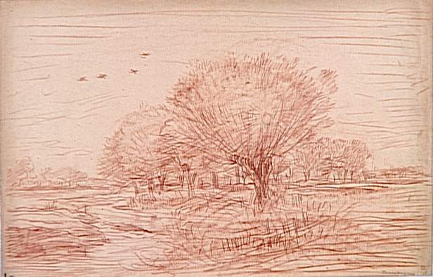 river-landscape-creek-crossing-a-wooded-meadow