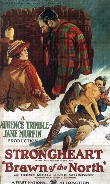 Brawn-of-the-North-1922-2A3-movie-poster