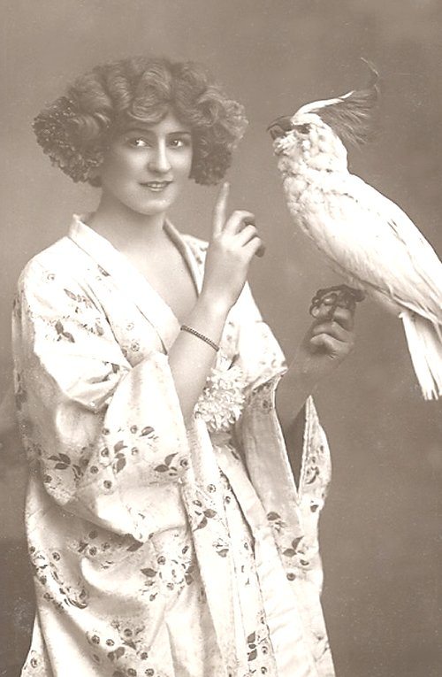 victorian-fashion-1907parrot